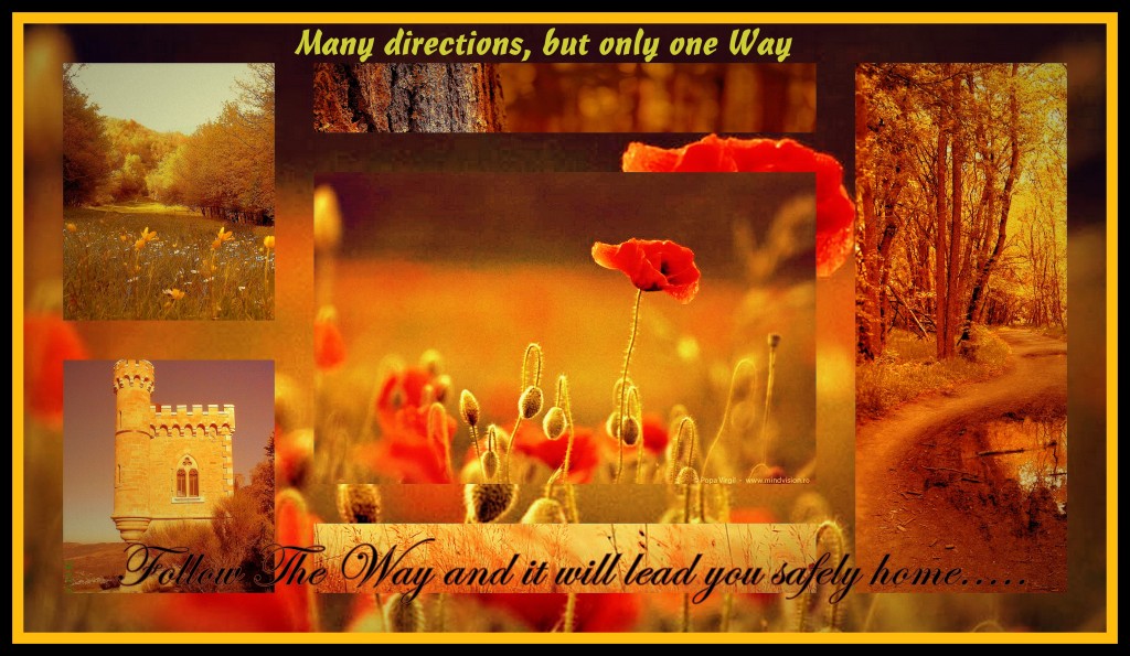 Many directions but one Way